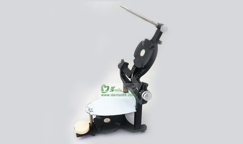 Magnetic denture Artriculators